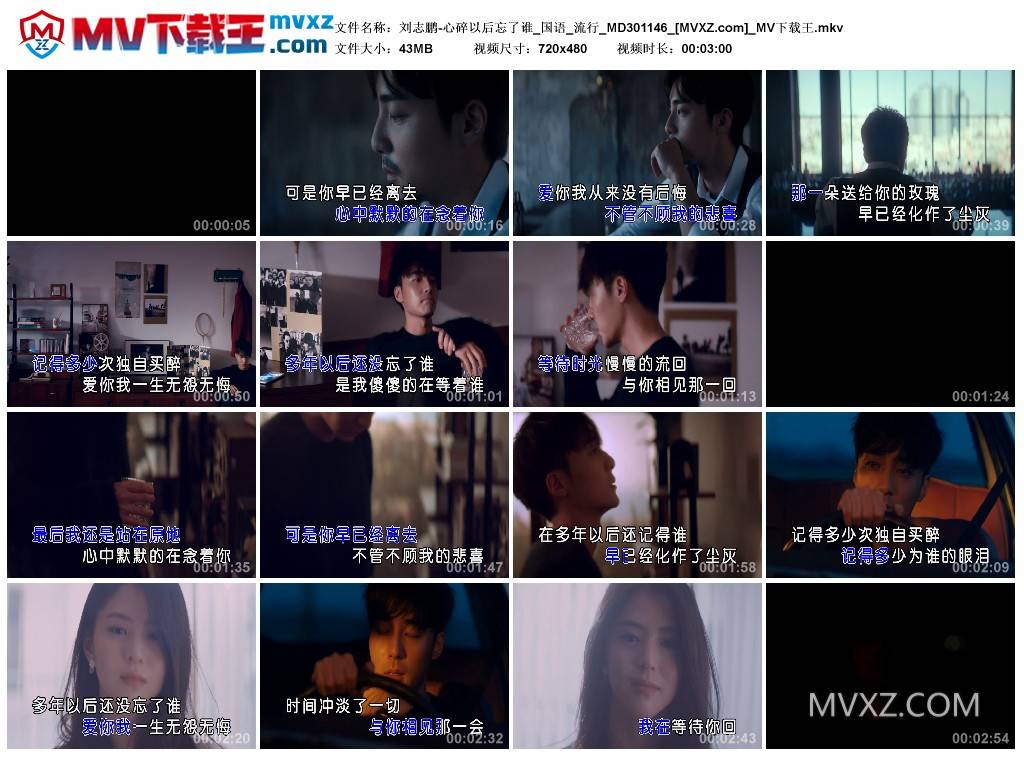 刘志鹏-心碎以后忘了谁_国语_流行_MD301146